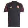 Camiseta de fútbol Perú Segunda Equipación 2024 - Hombre